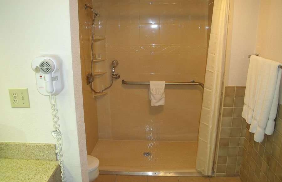 Accessible Room with Roll-In Shower
